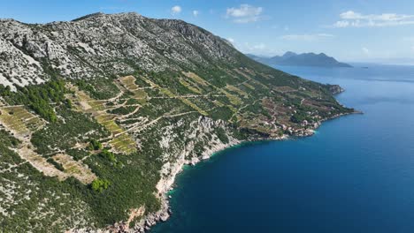 vegetación verde en la ladera rocosa de la costa dálmata isla de peljesac aérea