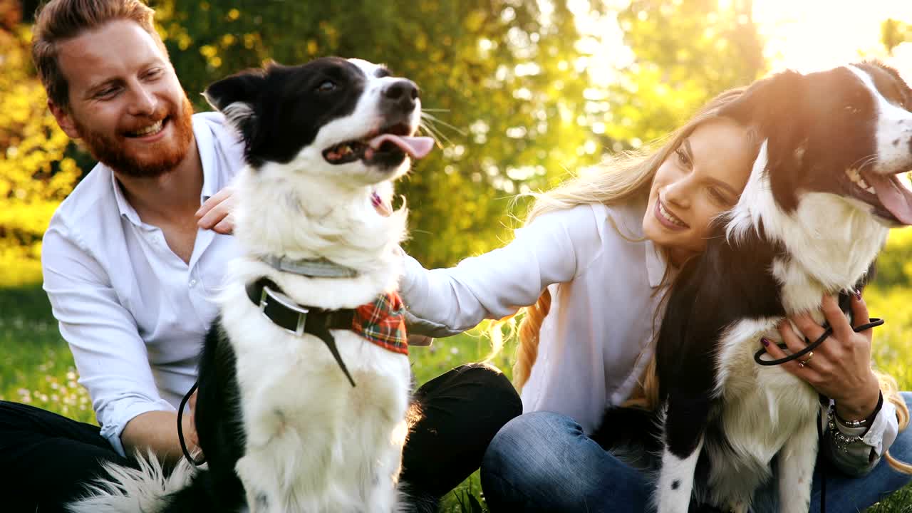 hermosa pareja acurrucada y paseando perros al aire libre