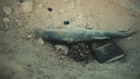 fish carcass falls into a hole in the sand where there is a pine cone and an old wallet