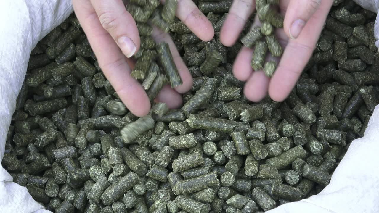 primer plano de los pellets utilizados como alimento para caballos