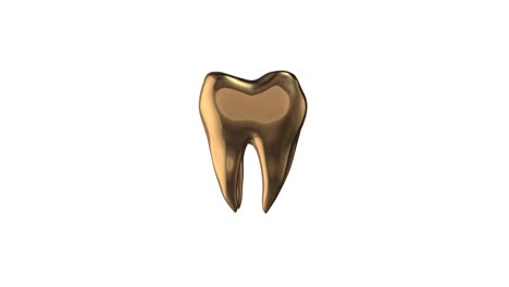 golden human tooth loop rotate on white background