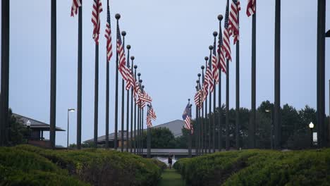 war veteran running through american flag lined pathway at monument