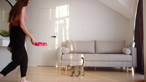 woman feeding her cat