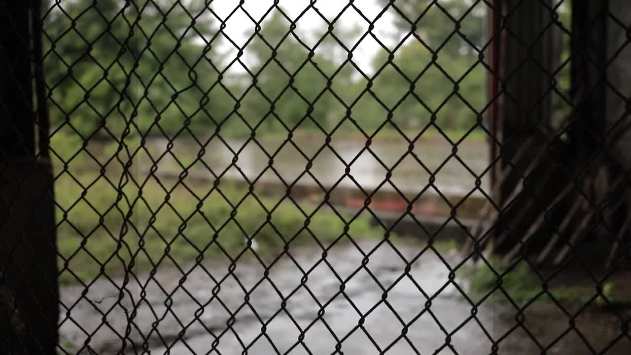 detail shot of a metal fence in an abandoned environment with rainy weather, HD video