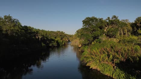 Reise-Durch-Das-Subtropische-Mündungsreservat-In-Terra-Ceia,-Florida