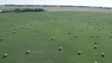 aerial panout over bales of circular hay rolls spread out almost symmetrical from each other on a lush green farm field barriered by properties of small forests and golden meadow seperations in summer