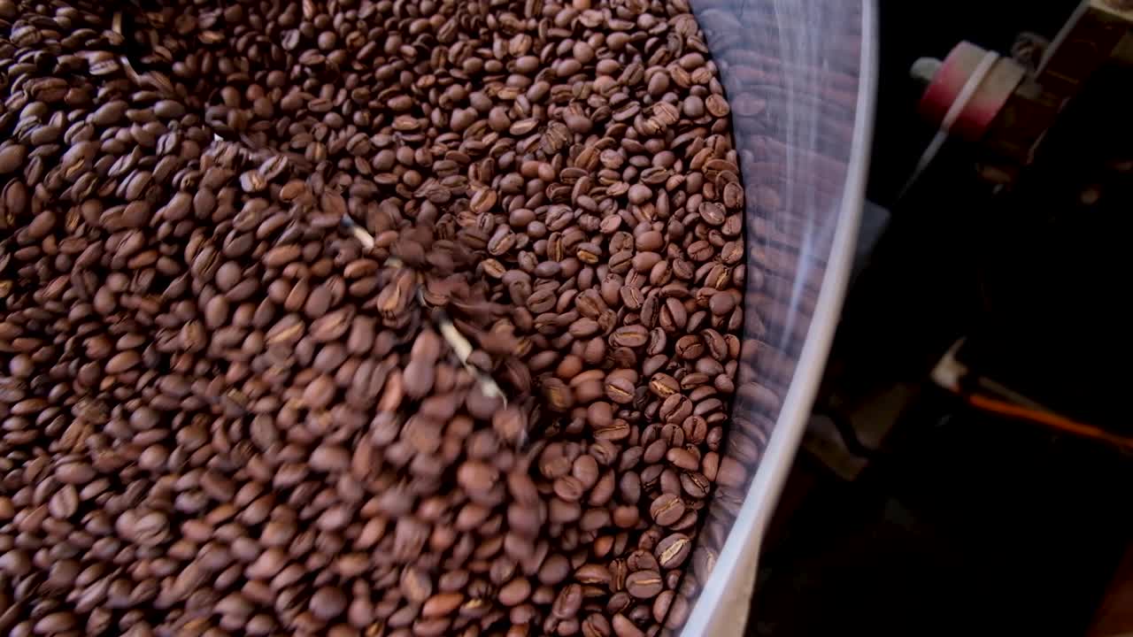 Freshly roasted coffee beans golden brown turning and cooling in stainless steel industrial roasting machine