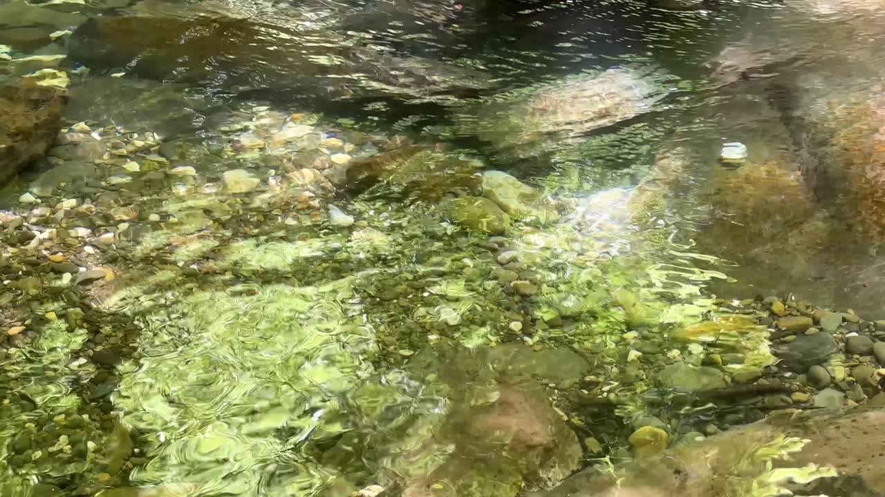 Luce solare della foresta che si riflette sulla superficie dell'acqua, flusso lento e calmo di un ruscello in un paesaggio naturale. Acqua bassa e scenografica, cascata e acqua di sorgente nella valle naturale Ircana, in Iran, Medio Oriente, pulita, cristallina e salubre.