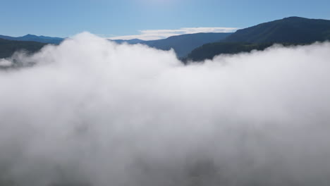 una densa capa de niebla cubre las cimas de los árboles con vistas panorámicas de las montañas en la distancia bajo el cielo azul
