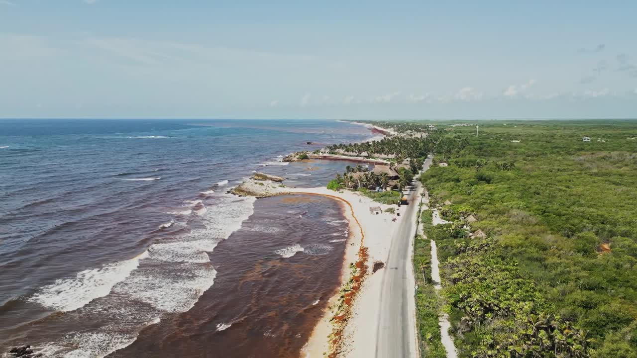 Drone dolly shot rising to reveal a sweeping coastal landscape of Tulum, Mexico. Brown sargassum seaweed washes up along the shoreline beside a curving vehicle road and lush tropical forest