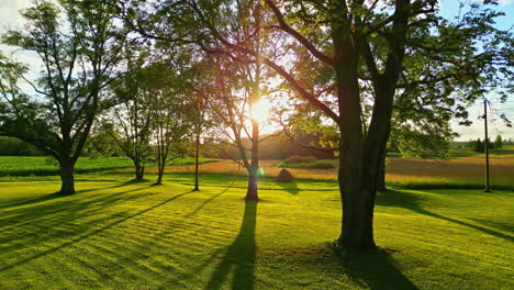 Golden-sunlight-filtering-through-the-trees-at-sunset-in-a-farming-landscape---pullback-reveal