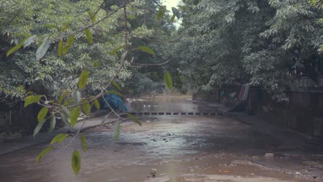 Ganso-Blanco-En-El-Arroyo-De-La-Ciudad-Antigua