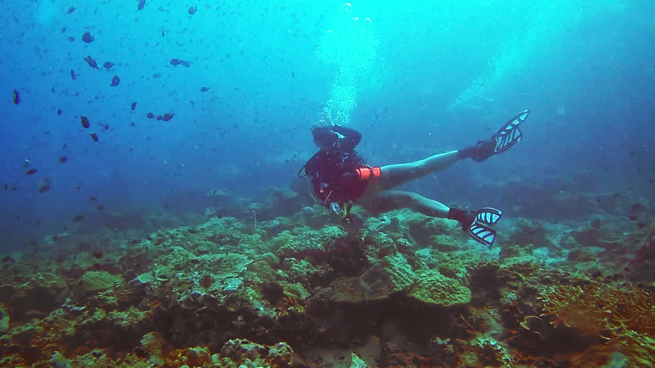 el buceo es una forma de vida