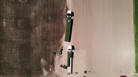 Loading-of-harvested-grass-sheets-intended-for-sale-on-a-truck-on-a-sunny-day,,-General-Roca---topdown-aerial-shot