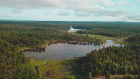 Vorwärts-Luftaufnahme-über-Wäldern-Und-Seen-Mit-Darauf-Reflektierten-Bäumen-In-Nordfinnland