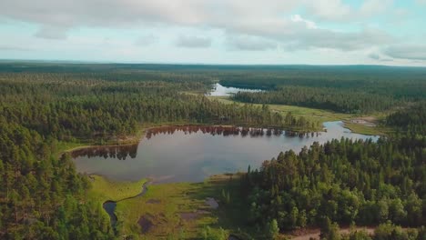 forward aerial shot over forests and lakes with trees reflected on them in north finland