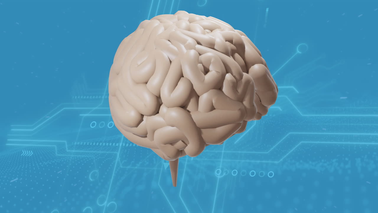 Animation of digital brain spinning over connections