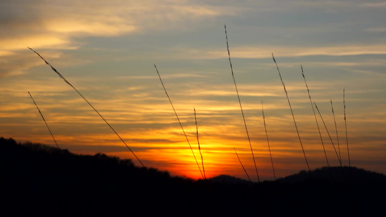 언덕에 있는 나무 뒤에 해가 지는 아름다운 일몰