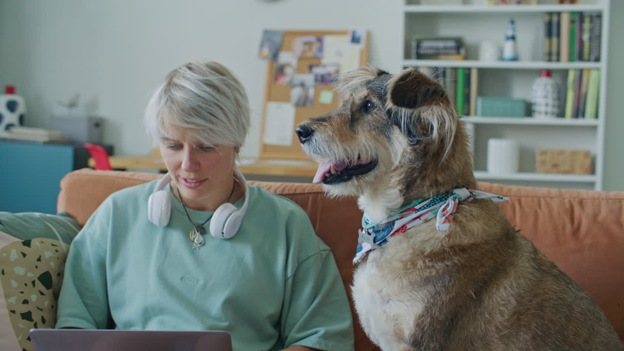 Girl Sitting on Couch, Petting Adorable Dog and Working on Laptop at Home