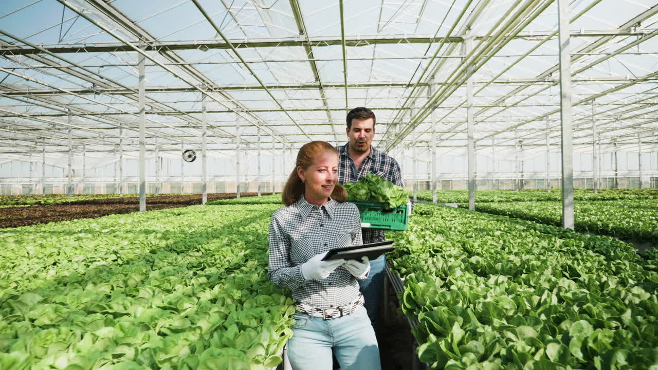 pessoas a trabalhar numa estufa