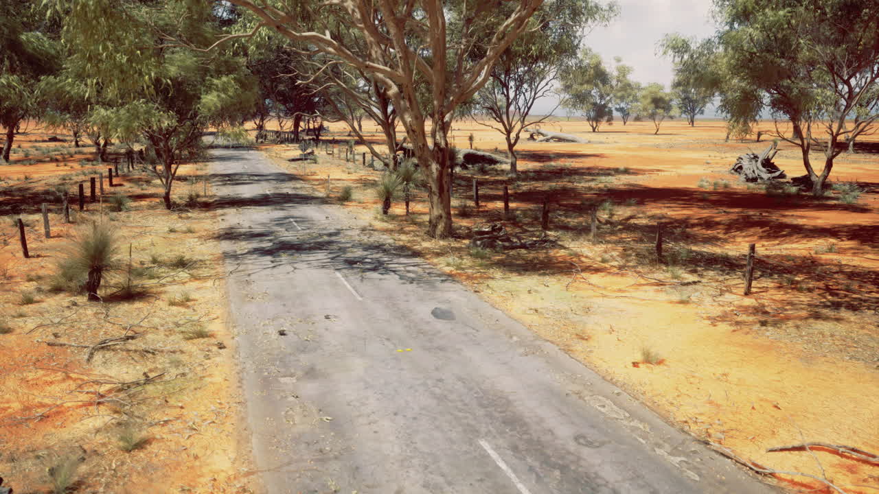 Dry landscape with a winding road through sparse trees and orange soil