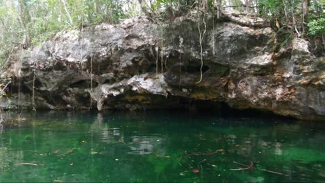 tilt up from tropical turquoise clear water to reveal a cenote with a small rocky cave in riviera maya, mexico near tulum and cancun on vacation