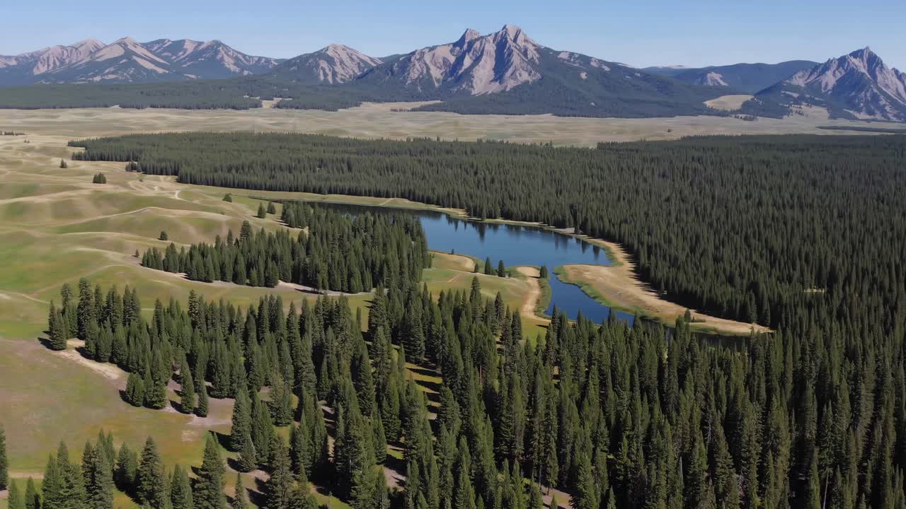 Aerial video capturing a vast forest landscape with a serene lake and distant mountains