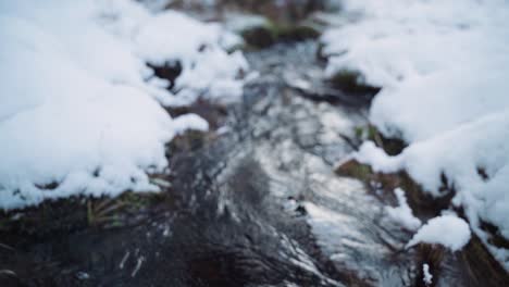 arroyo en bosque nevado