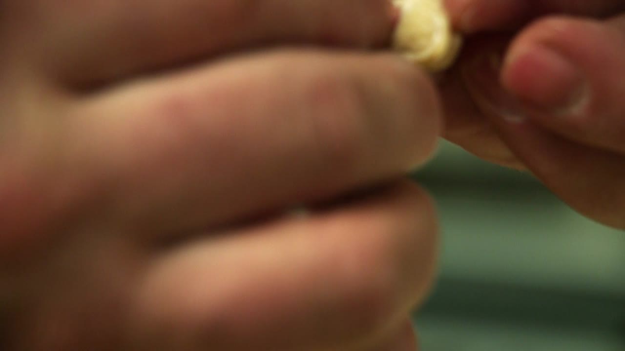 dedos doblando tortellini de pasta fresca