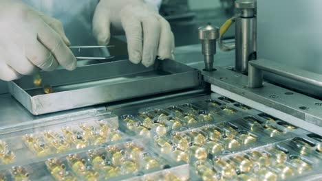 farmacéuticos, concepto de farmacia. el farmacólogo está usando pinzas para clasificar las cápsulas en el transportador