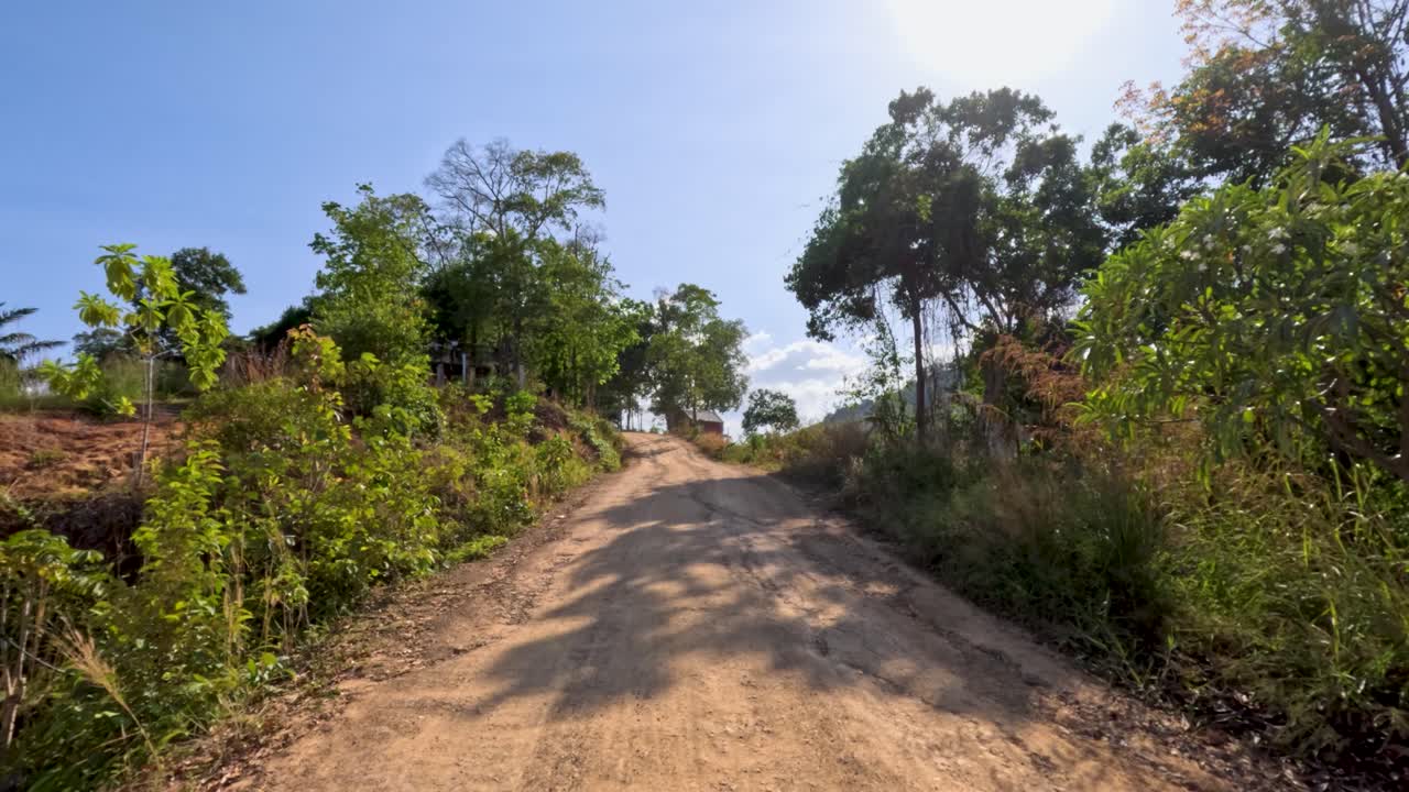 Vehicle travels up a sunlit, unpaved road through tropical countryside, wide-angle, steady camera