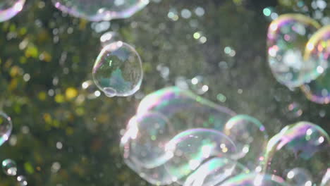 Slow-motion-shot-of-shapeshifting-soap-bubbles-glittering-in-the-sun-with-autumn-trees-in-the-background