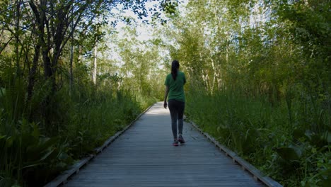 Ein-Mädchen-Geht-Einen-Holzsteg-Zwischen-Dichter-Vegetation-Hinunter