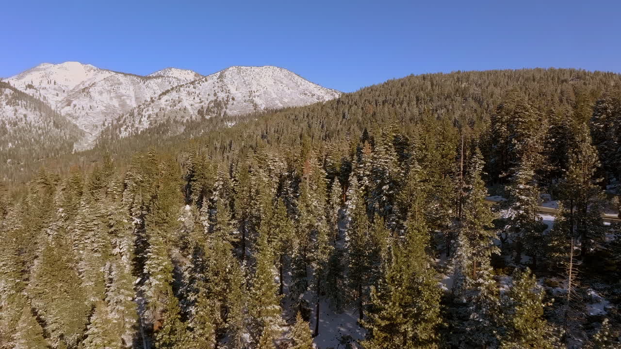 paisaje aéreo de abetos douglas y un pico de montaña con nieve en él con camiones conduciendo por la carretera visible a través de los árboles