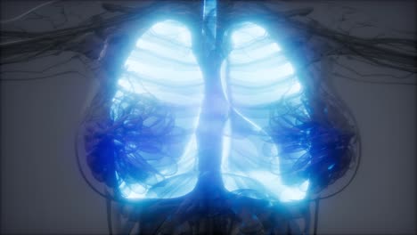 human lungs radiology exam