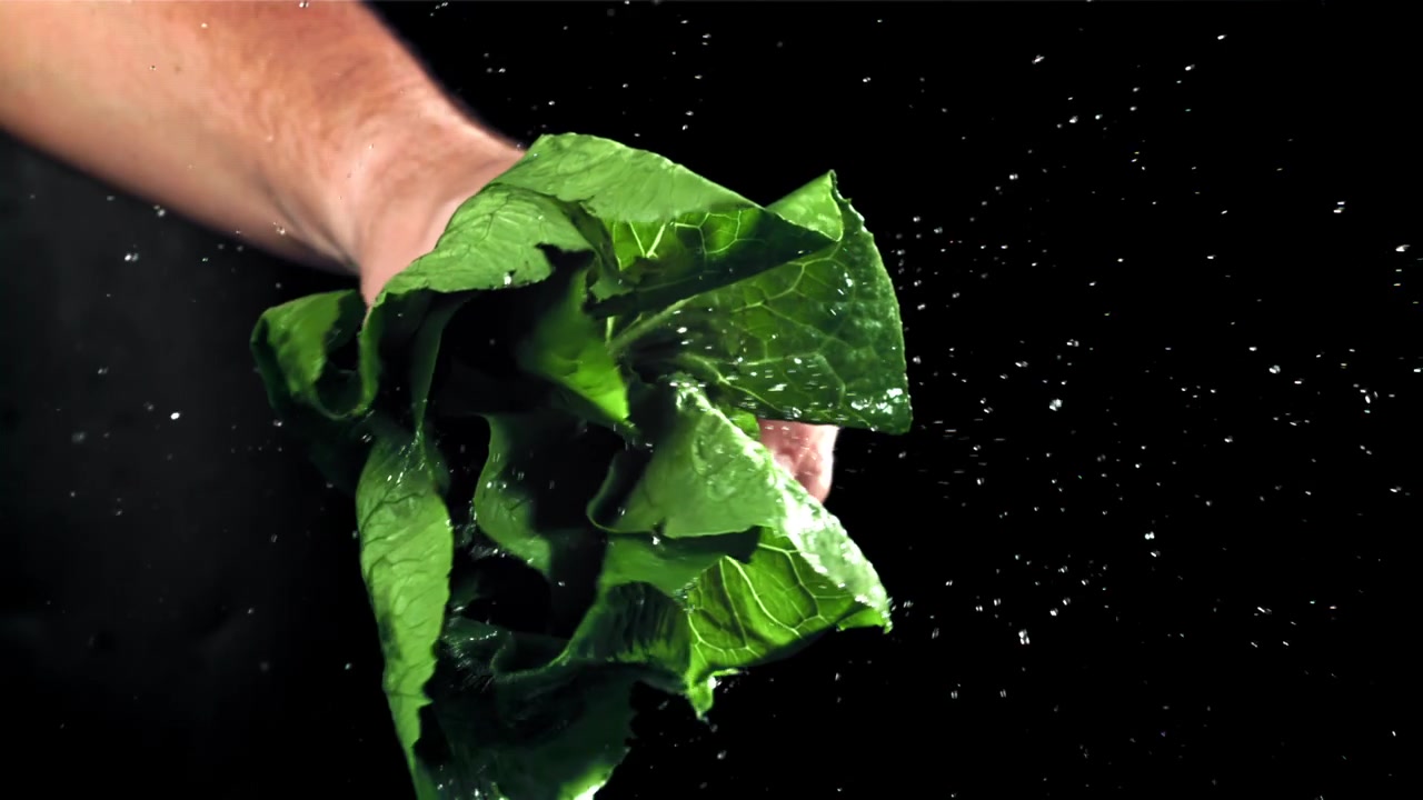 Mano che regge lattuga verde fresca con schizzi d'acqua al rallentatore
