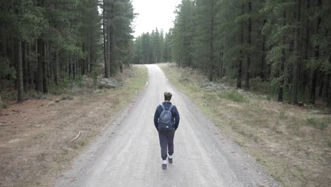 filmische follow shot van een jonge en modieuze man die een stoffige en steenachtige grindweg afloopt tussen een bos van hoge dennenbomen