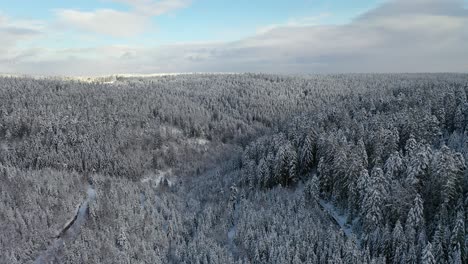 Drohnenflug-Verschneite-Landschaft-Im-Schwarzwald-Deutschland