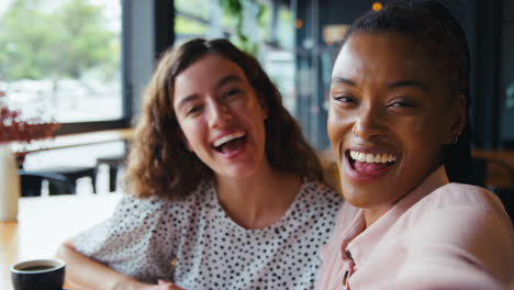 two young female friends meeting in coffee shop and posing for selfie