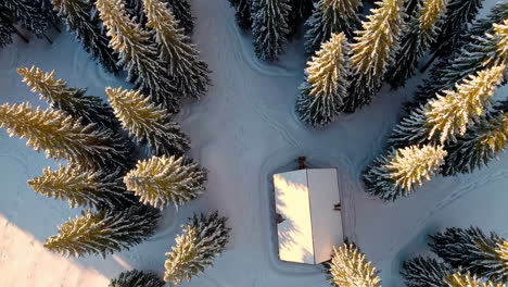 snowy cabin in a winter forest - aerial view