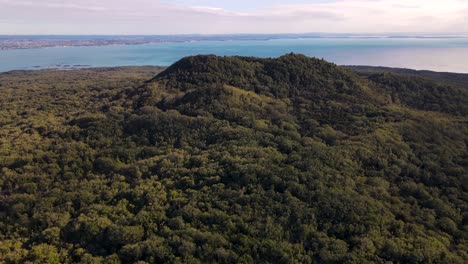 Vista-Aérea-De-La-Cumbre-De-Rangitoto-Densamente-Vegetada-Y-Cuevas-De-Lava