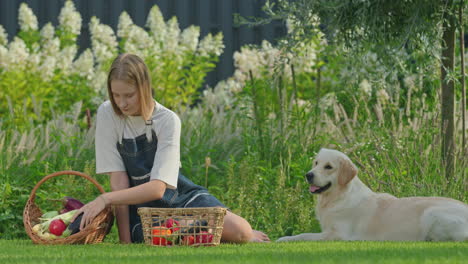 girl and dog in a garden with vegetables