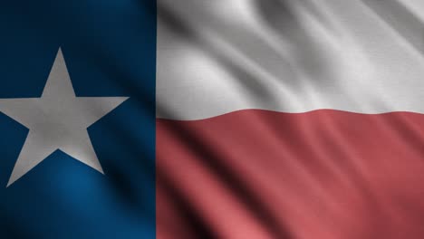 texas flag