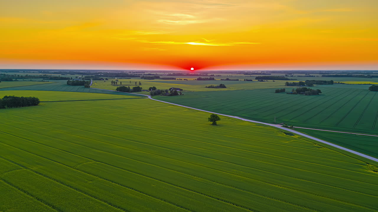 빛나는 해가 뜨는 하늘과 함께 농경지의 광활한 풍경