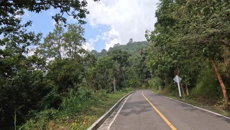 a journey along a winding road surrounded by greenery