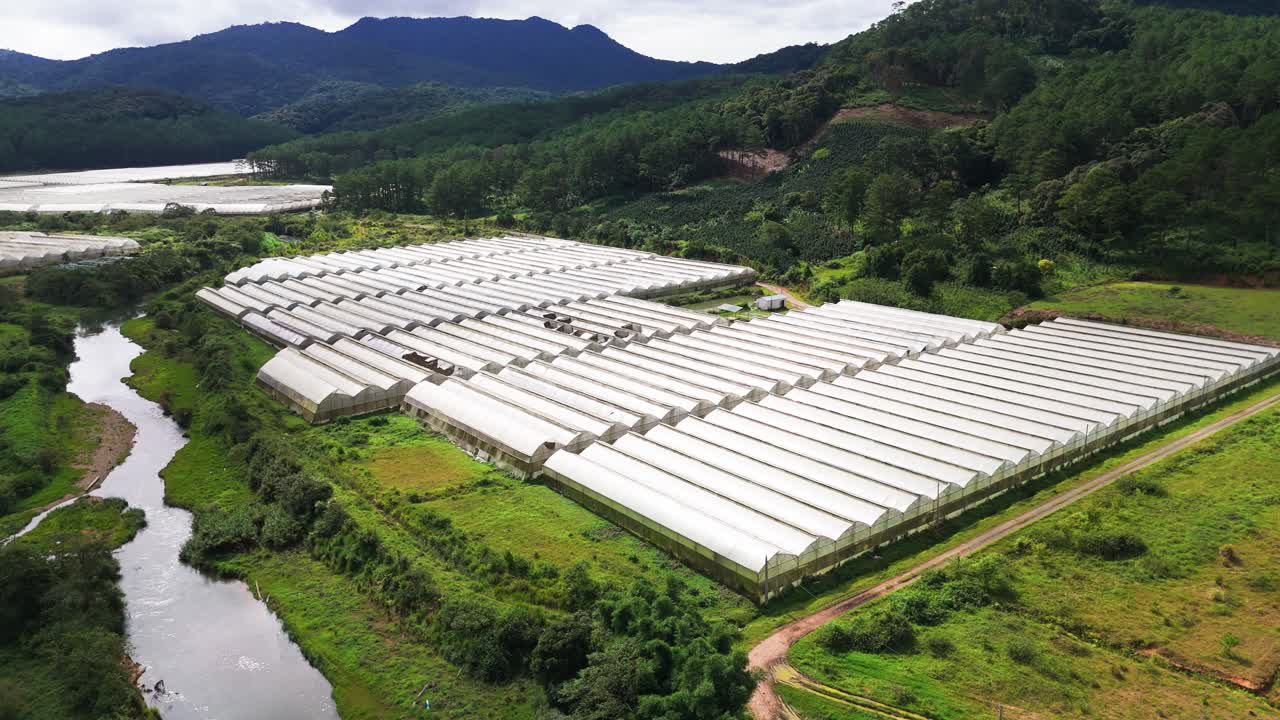 Aerial View Tilt of the Greenhouses in Lam Dong