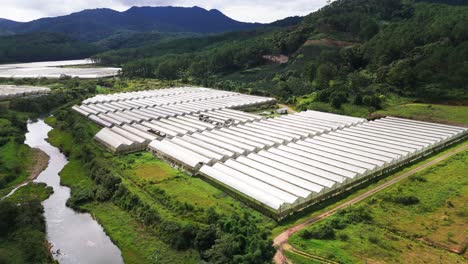 aerial view tilt of the greenhouses in lam dong