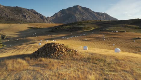 hay bales in a rural landscape