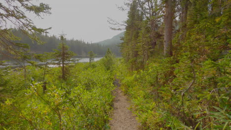 Walking-down-a-trail-near-Lost-Lake-in-Colorado