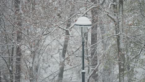 a street light in the snowfall